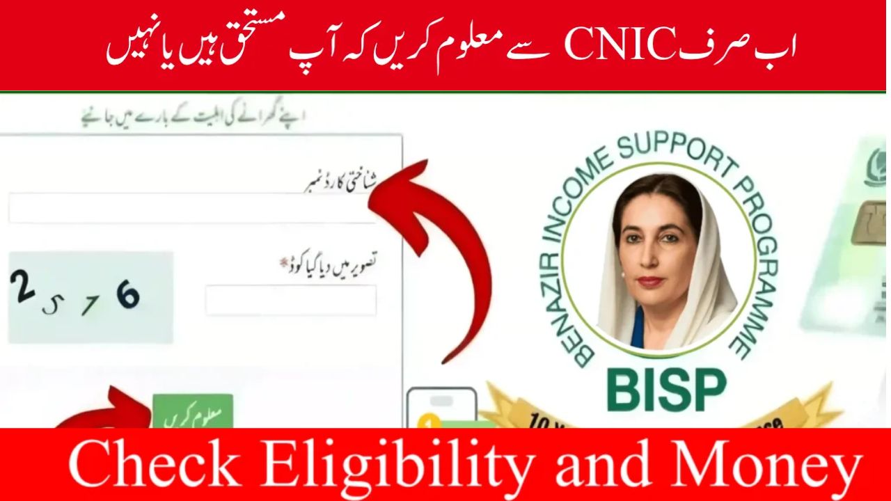 Ehsaas Program 8171 CNIC Check Online