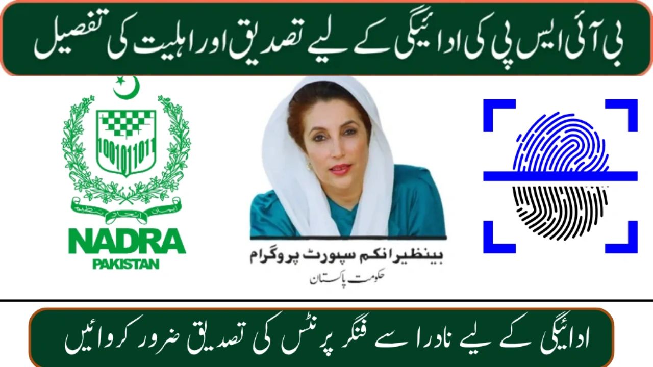 8171 Web Portal CNIC Confirmation 2025: Check Eligibility & Payments Online